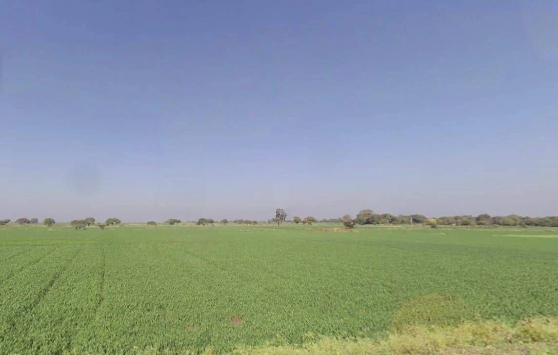 Bhidota Khurd, Madhya Pradesh 454001, India