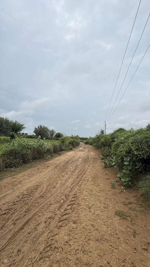 9F65+56 Sawai Balwaniyan, Rajasthan, India
