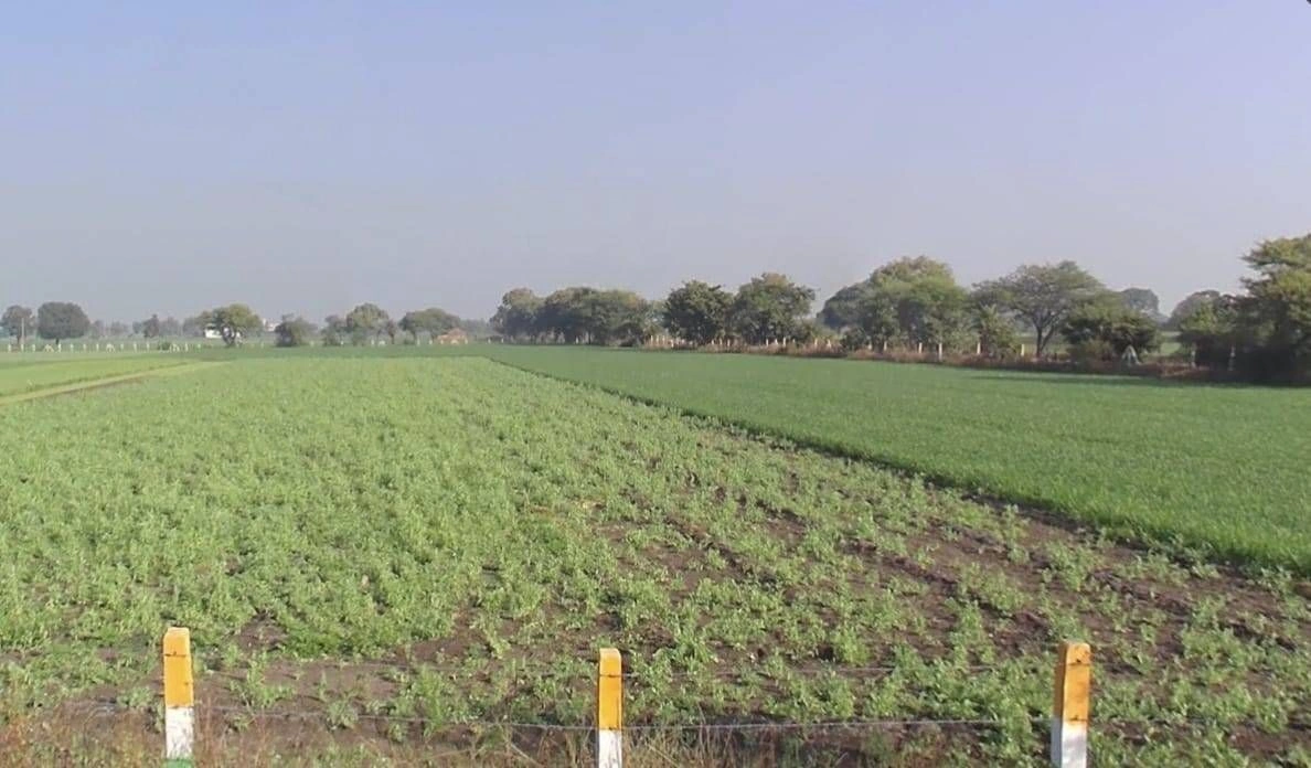 6RP2+GGR, Surasa, Madhya Pradesh 456006, India