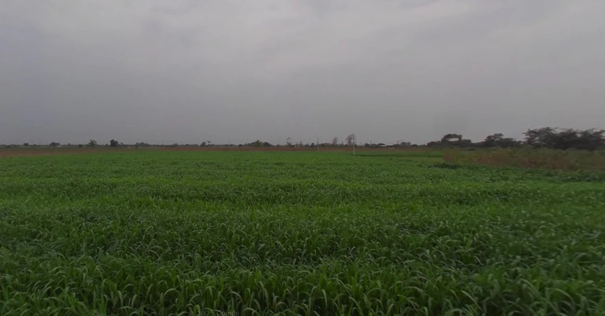 F4HC+WH Dethli, Gujarat, India