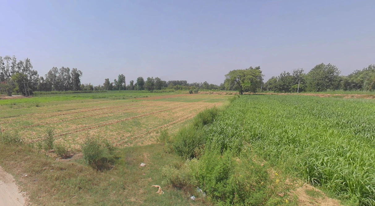 Moradabad, Uttar Pradesh, India