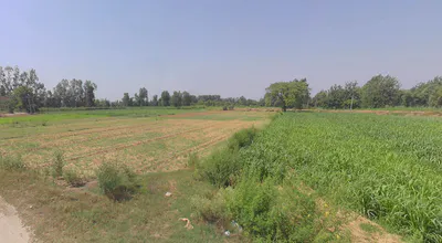 Moradabad, Uttar Pradesh, India preview 2