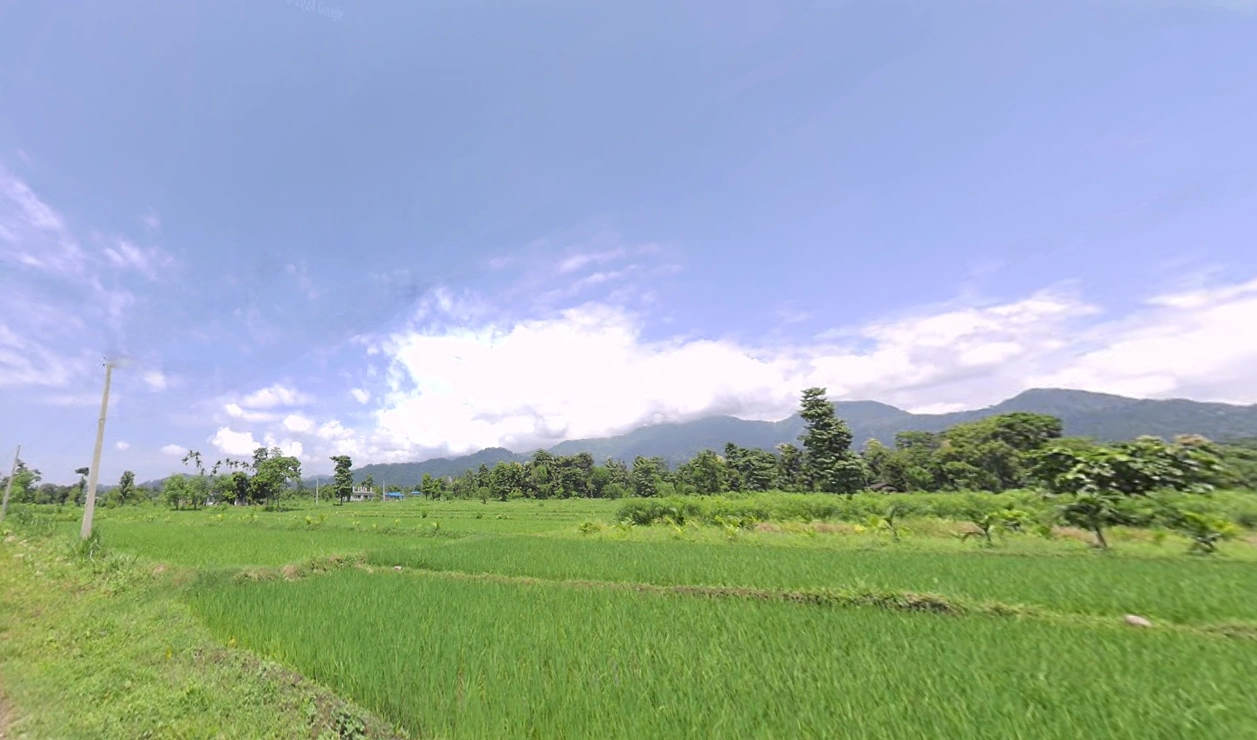 Samalbong, West Bengal 734201, India