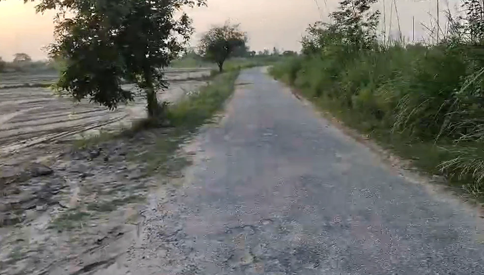 Mawana, Meerut, Uttar Pradesh, India