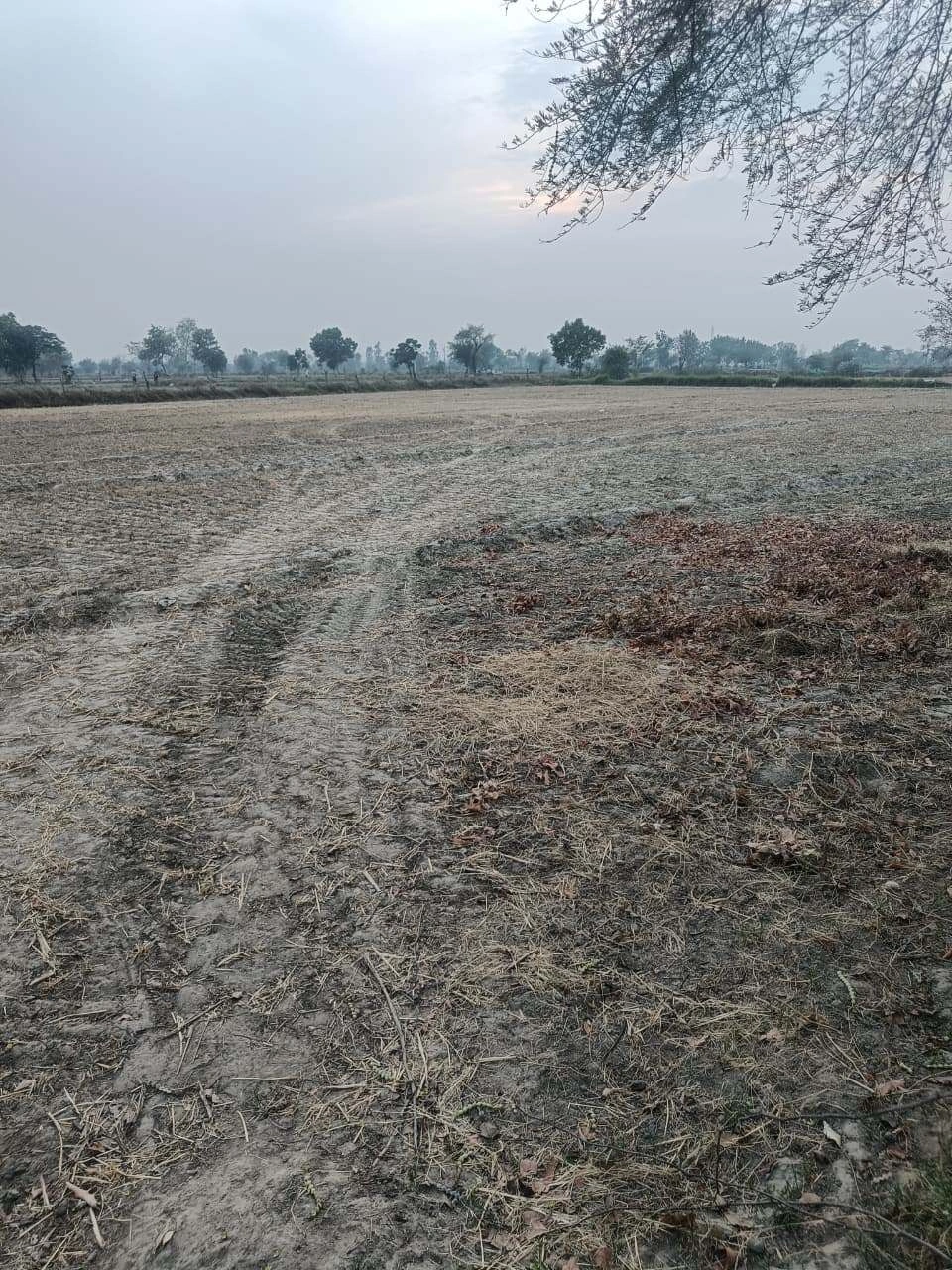 Ajijpur, Uttar Pradesh, India