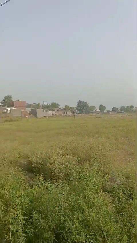 QPH6+6V5, Sarawa, Uttar Pradesh 245206, India