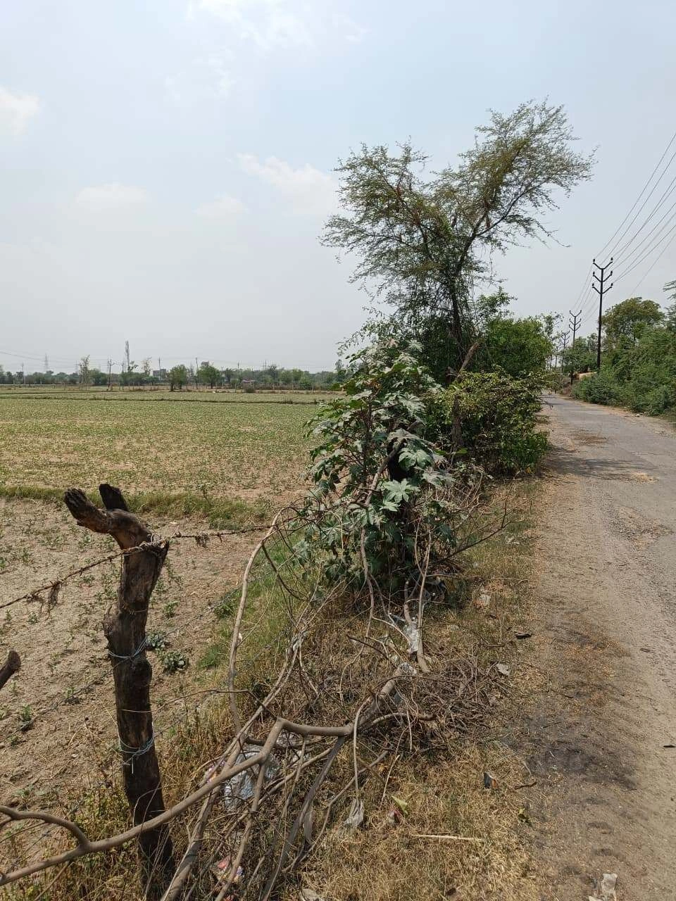 Gharwari, Rajasthan 321201, India