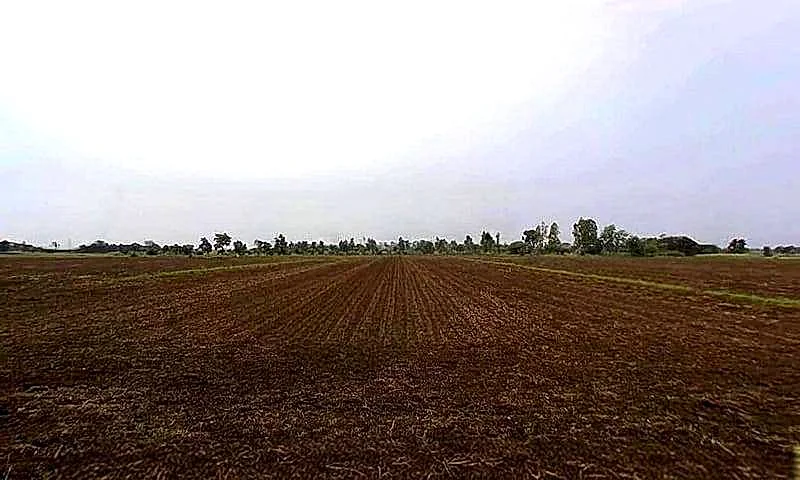 Gora Khedi, Madhya Pradesh 466115, India preview 5