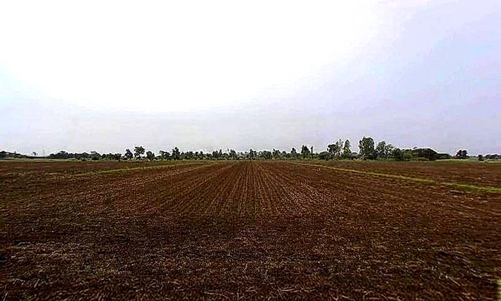 Gora Khedi, Madhya Pradesh 466115, India