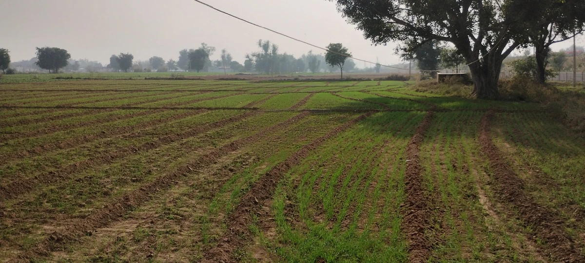 Seetal, Rajasthan 301021, India