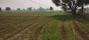 Seetal, Rajasthan 301021, India preview 2