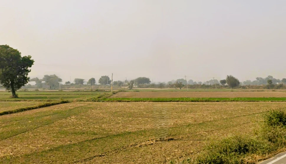 Jindran, Haryana, India