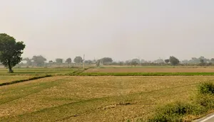 Jindran, Haryana, India preview 2