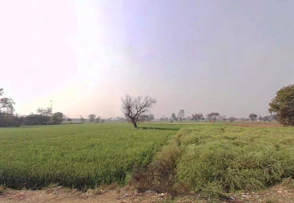 Seetal, Rajasthan 301021, India