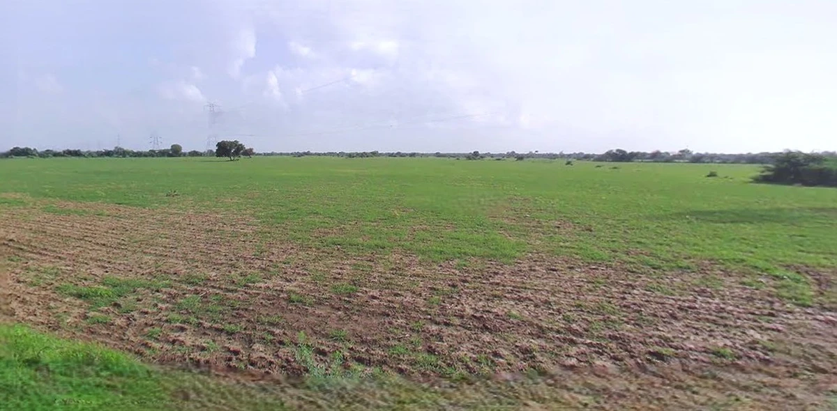 Jhajjar, Haryana 124103, India