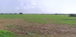 Jhajjar, Haryana 124103, India preview 3