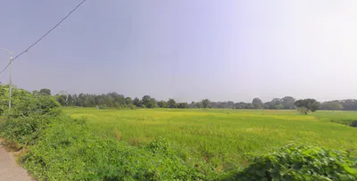 Khandapada, Odisha 752077, India preview 3