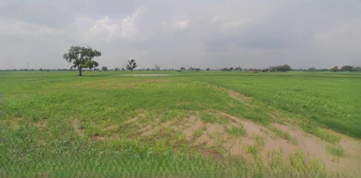 Mandsaur, Madhya Pradesh, India