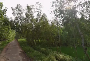 Mirzapur Pole, Uttar Pradesh 247121, India preview 2