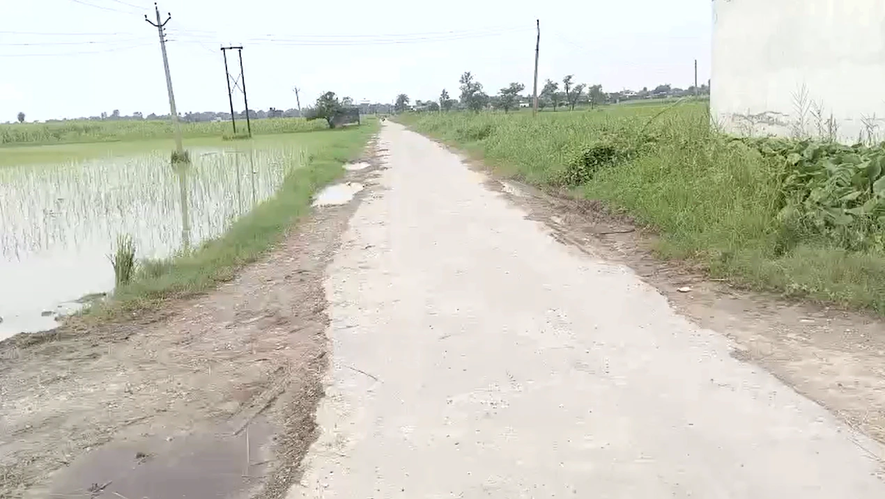 3WV8+V3 Mawana, Meerut, Uttar Pradesh, India