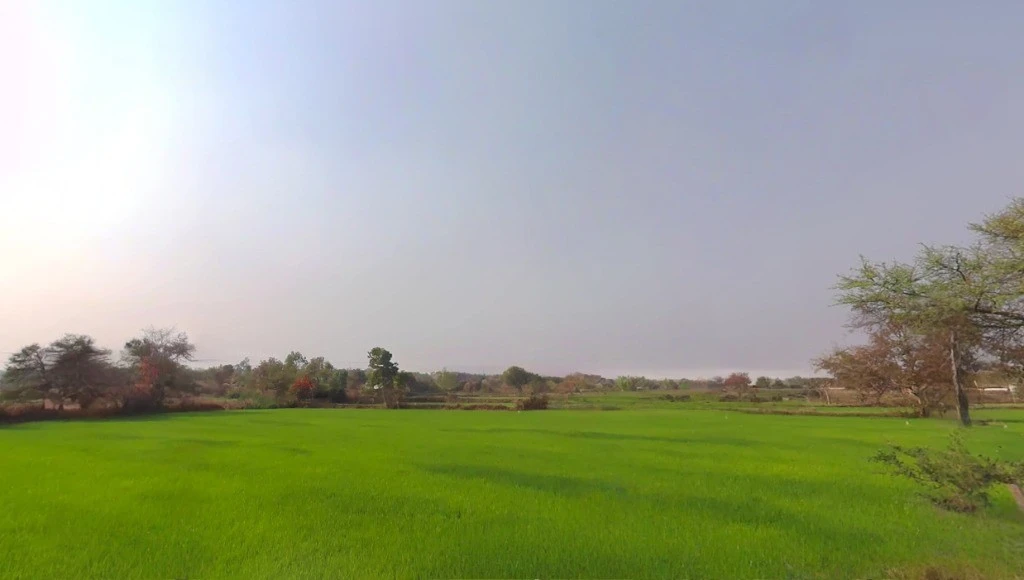 Khamhariya, Chhattisgarh 493449, India