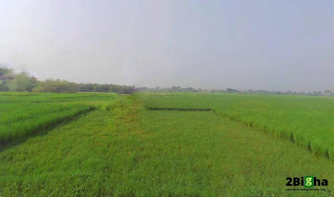 Kanpur - Lucknow Rd, Railway Colony, Alambagh, Lucknow, Uttar Pradesh, India