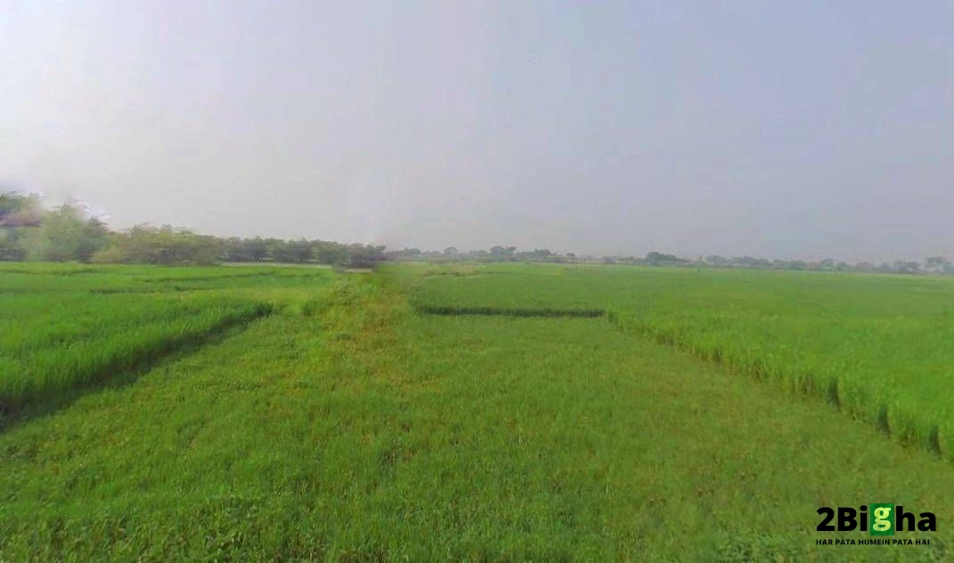 Kanpur - Lucknow Rd, Railway Colony, Alambagh, Lucknow, Uttar Pradesh, India