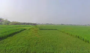 Kanpur - Lucknow Rd, Railway Colony, Alambagh, Lucknow, Uttar Pradesh, India preview 2