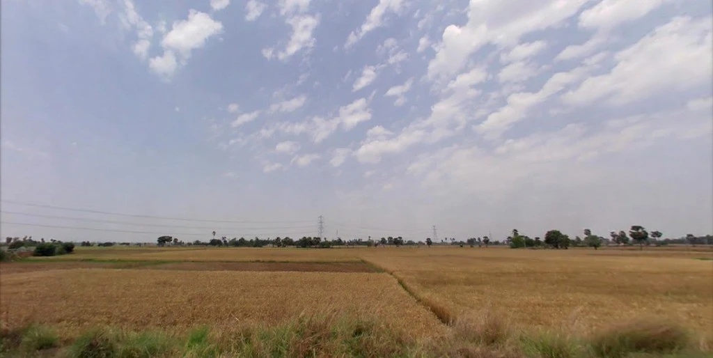 C2XG+3C9, Barepur, Bihar 804453, India