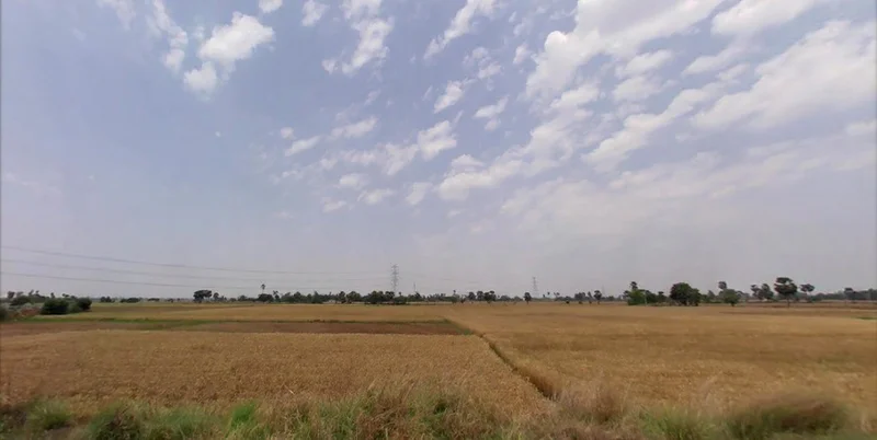 C2XG+3C9, Barepur, Bihar 804453, India preview 2