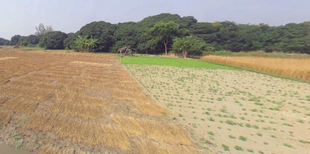 Bandori, Madhya Pradesh 462042, India