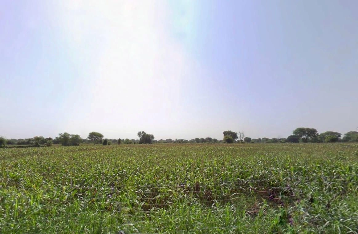 Bagor, Rajasthan 311402, India preview 3