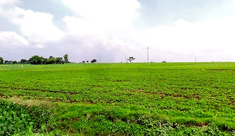 Khamkheda, Madhya Pradesh, India preview 3