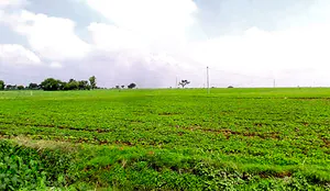 Khamkheda, Madhya Pradesh, India preview 3