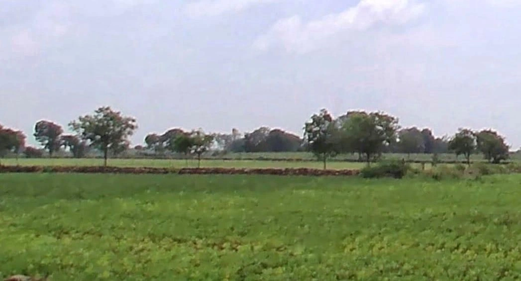 Bamanwas, Kotputli-Behror, Rajasthan 303108, India