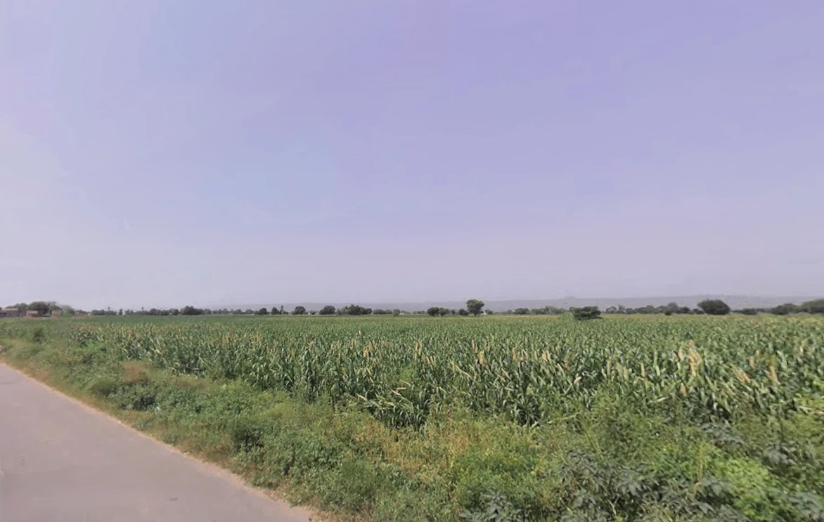 Firozpur Jhirka, Haryana 122104, India