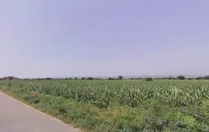 Firozpur Jhirka, Haryana 122104, India preview 2