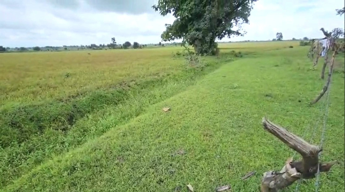 Amapani, Madhya Pradesh 464884, India