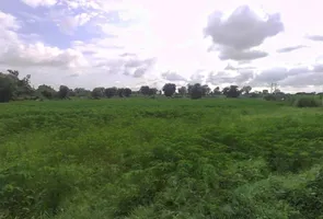 2HG4+C5C, RJSH 23, Bokauli, Rajasthan 321404, India preview 2