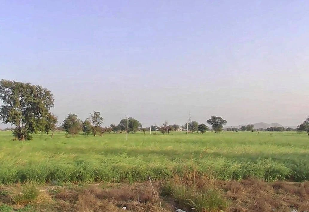 HQFX+CWH, Ramgarh Rd, Goha, Rajasthan 301026, India
