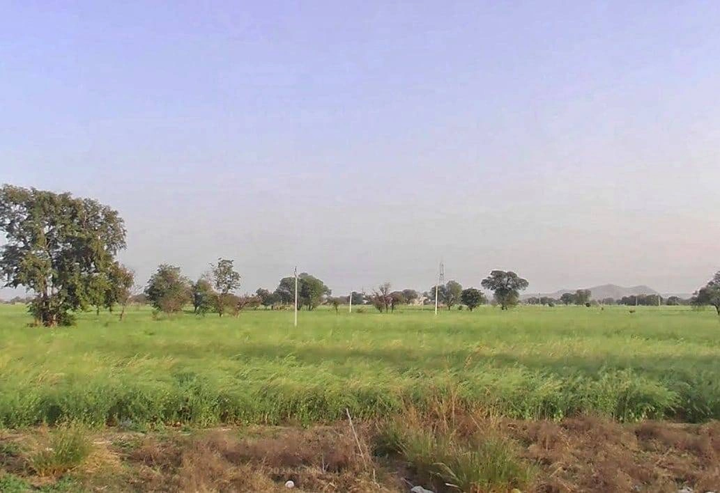 HQFX+CWH, Ramgarh Rd, Goha, Rajasthan 301026, India