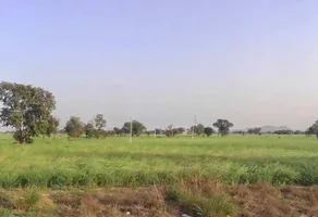 HQFX+CWH, Ramgarh Rd, Goha, Rajasthan 301026, India preview 3