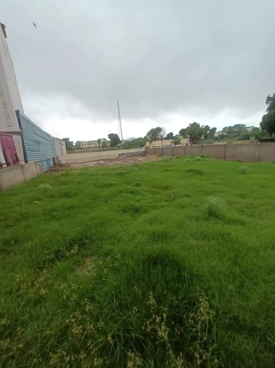 484F+FX6, Satpulia, Ajmer Rd Beawar, Paras Colony, Beawar, Rajasthan 305901, India