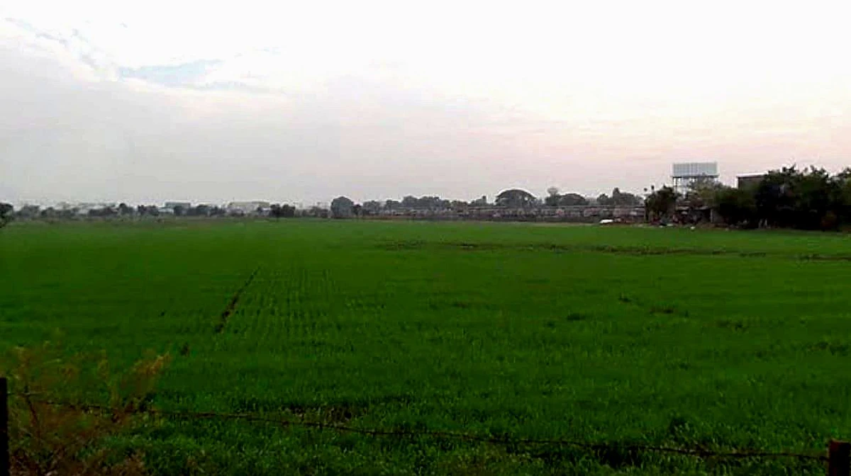 Gothada, Madhya Pradesh, India