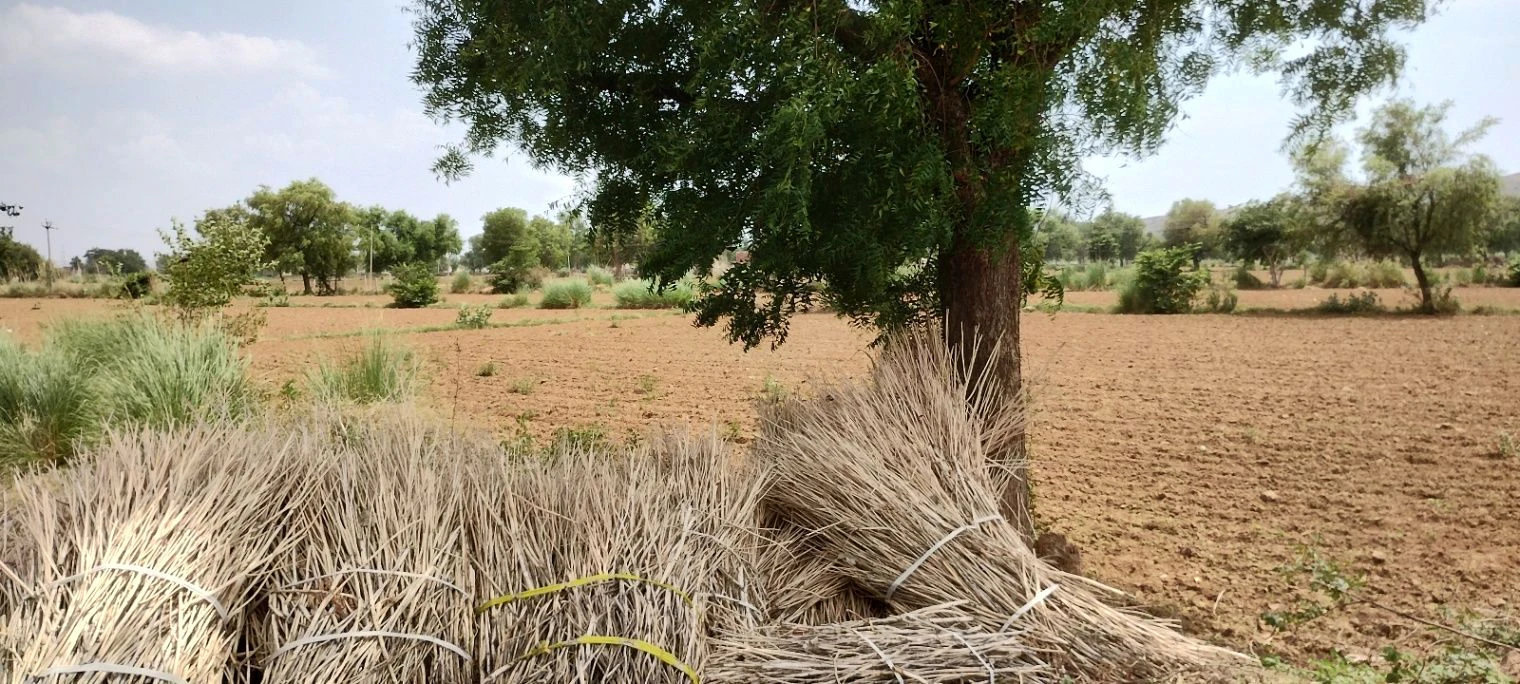 Ronpur, Rajasthan, India