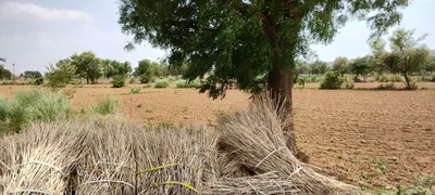 Ronpur, Rajasthan, India preview 3