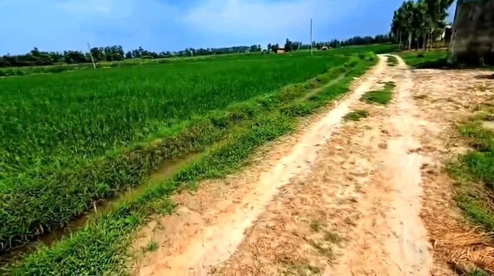 822V+2R Husainpur, Muzaffarnagar, Uttar Pradesh, India
