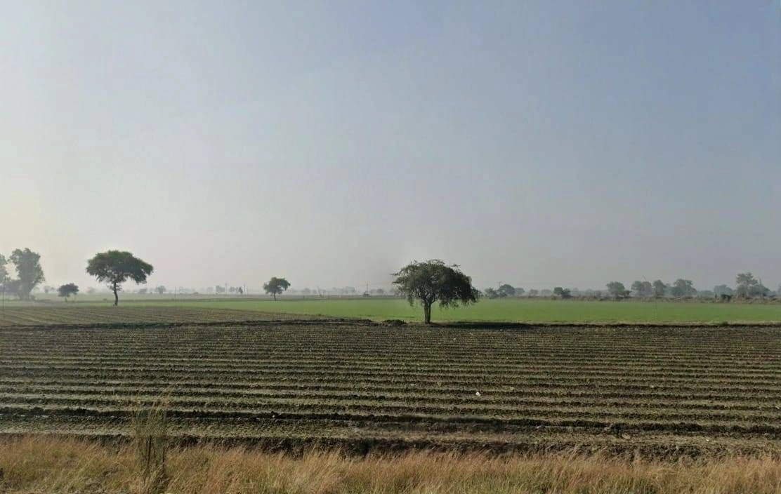 Palkhedi, Madhya Pradesh 456006, India