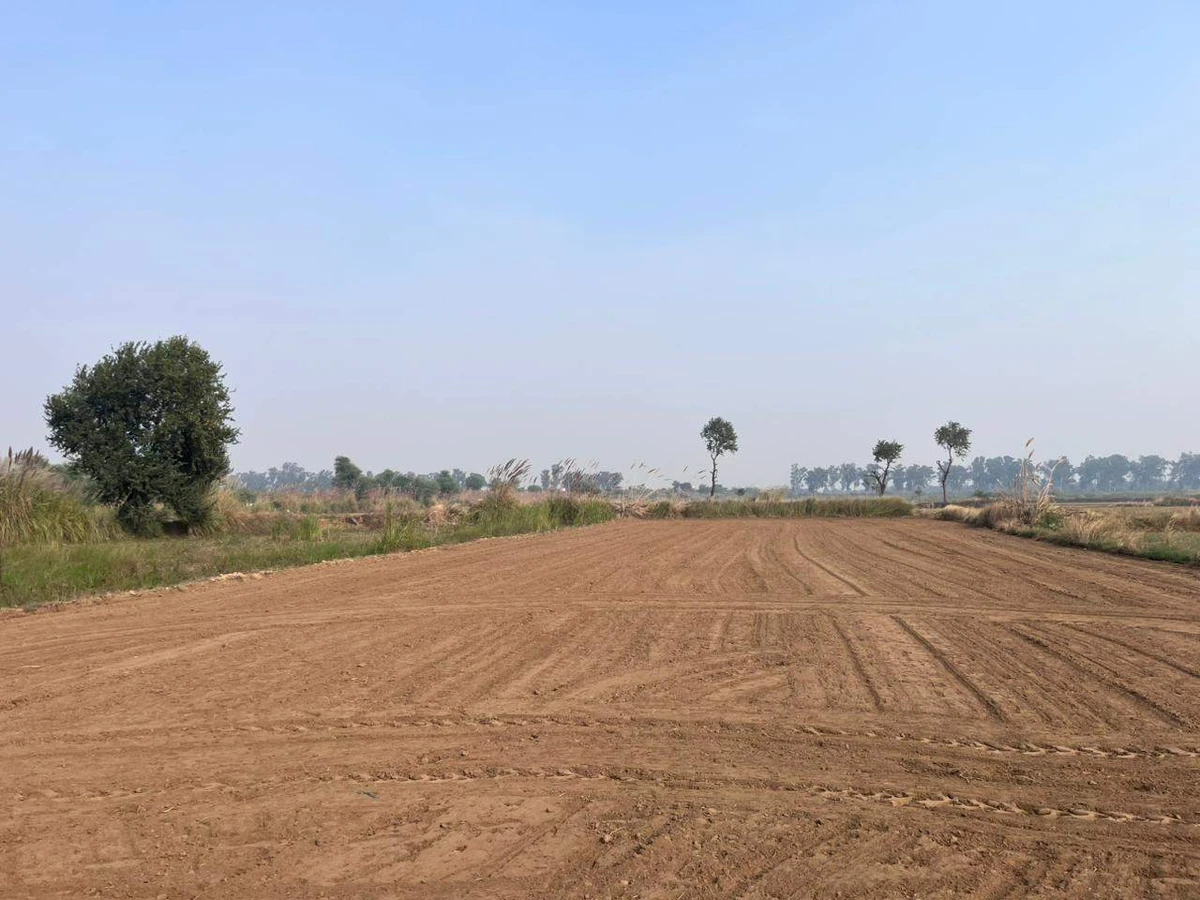 Kanoli, Haryana, India