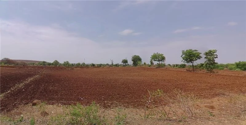 Dhapla, Madhya Pradesh, India